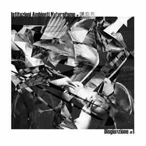 Istituzioni Ambienti Naturalismo + 洪启乐 - Disgiunzione #1 album