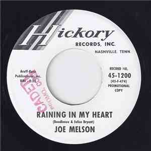 Joe Melson - Raining In My Heart album