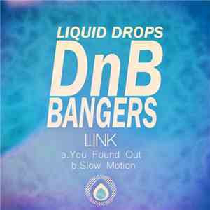 Link  - DnB Bangers, Vol. 4 album