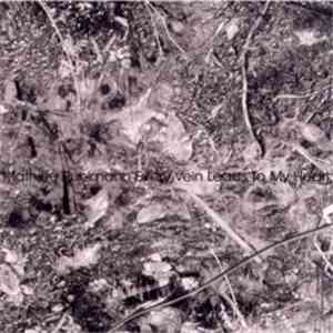 Mathieu Ruhlmann - Every Vein Leads To My Heart album