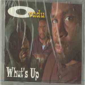 Ovadu - Whut's Up album