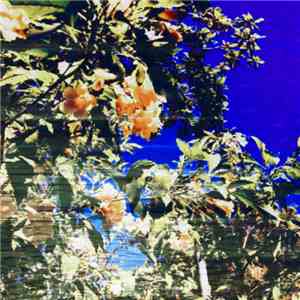 Skytone - Dreaming album