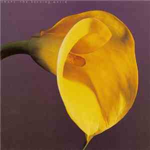 Swans - The Burning World album