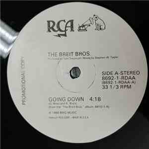 The Breit Bros. - Going Down album