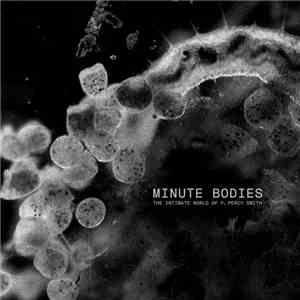 Tindersticks with Thomas Belhom and Christine Ott - Minute Bodies - The Intimate World Of F. Percy Smith album