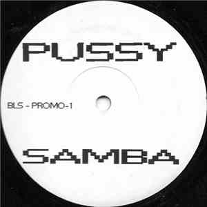 Unknown Artist - Pussy Samba album