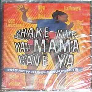 Various - Shake What Ya Mama Gave Ya - Hot New Rump-Shakin Hits album