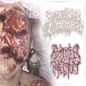 Bestially Raped Till Dismembered / Rotten Rectum - Split album
