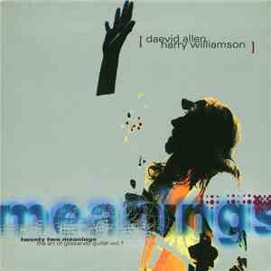 Daevid Allen / Harry Williamson - Twenty Two Meanings : The Art Of Glissando Guitar Vol. 1 album