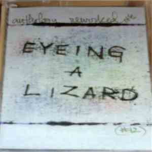 Eyeing A Lizard - Anthology Reworked album