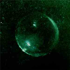 Grey Field Recordings - Misanthropic Alloy In The Memory Box album