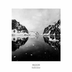 Irezumi  - Endurance album