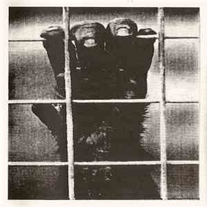 Poor Side Head - Poor Side Head album