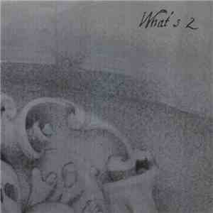 Roswell Conspiracy / Shizuka - What's The Apocalypse 1 album