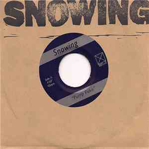 Snowing - Pump Fake / Scherbatsky album