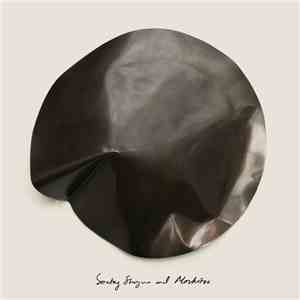 Sontag Shogun and Moskitoo - The Things We Let Fall Apart / The Thunderswan album