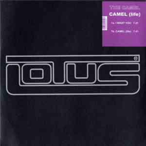 The Camel - Camel (Life) album