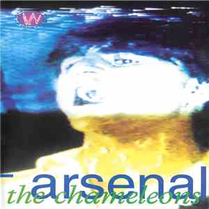 The Chameleons - Arsenal album