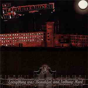 The Slaughterhouse Four - Everything Was Beautiful And Nothing Hurt album