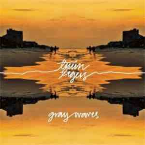 Twin Tigers - Gray Waves album