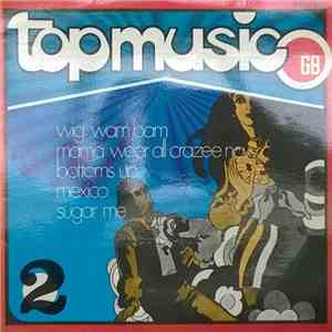 Unknown Artist - Topmusic 2 album