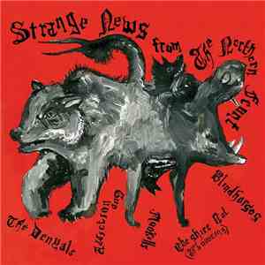 Various, The Denyals, Gun Addiction, Blindhorses, Mookills, Cheshire Cat (The Bouncing) - Strange News From The Northern Front album