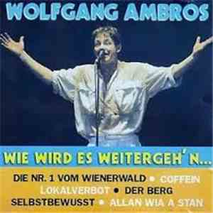 Wolfgang Ambros - Wie wird es weitergeh'n album