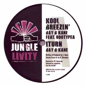 Bay B Kane Feat. Rootypea - Kool Breezin album