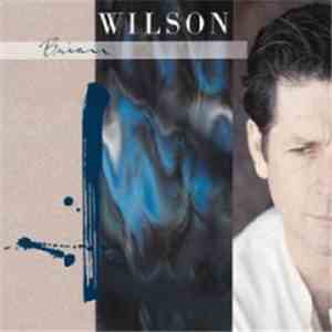 Brian Wilson - Brian Wilson album
