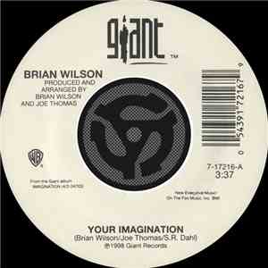 Brian Wilson - Your Imagination album
