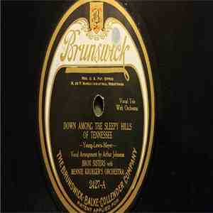 Bronx Sisters With Bennie Krueger's Orchestra - Down Among The Sleepy Hills Of Tennessee / Little Boy Blue album