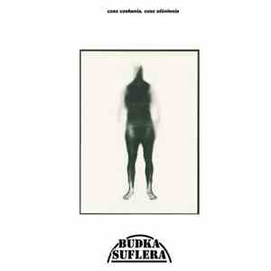 Budka Suflera - Czas Czekania, Czas Olśnienia album