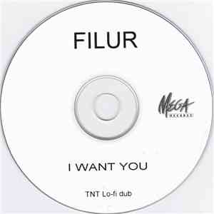 Filur - I Want You album