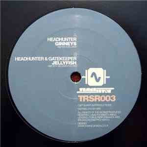 Headhunter  & Gatekeeper  - Ginneys / Jellyfish album