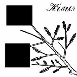 Kraus  - Luxury And Mystery album