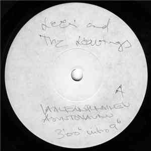 Leevi And The Leavings - Vaaleanpunainen Asuntovaunu album