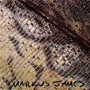 Markus James - Snakeskin Violin album