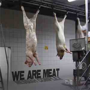 Messiah Complex - We Are Meat album