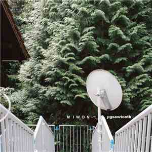 Miwon - Jigsawtooth album