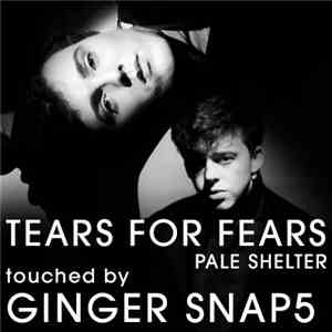 Tears For Fears - Pale Shelter album