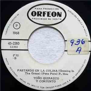 Toño Quirazco Y Su Conjunto - La Cigueña / Pastando En La Colina album