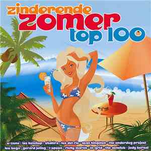 Various - Zinderende Zomer Top 100 album